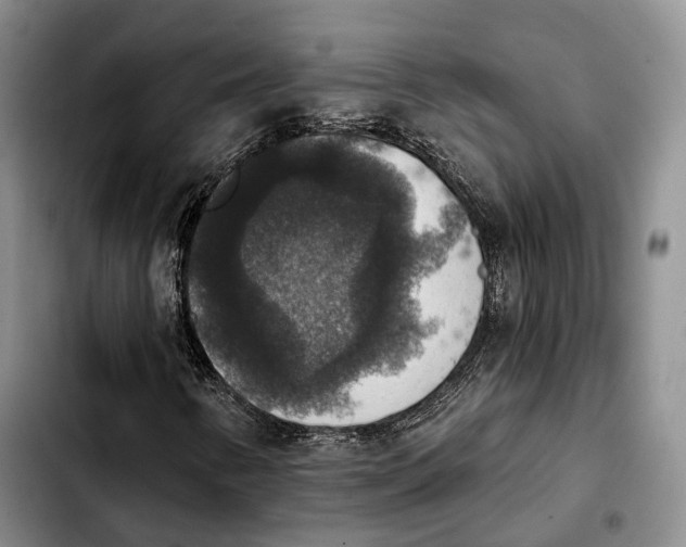 X0000103951346200810101429