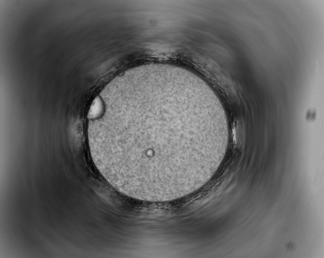 X0000103951347200810101429