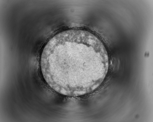 X0000103951348200810101429