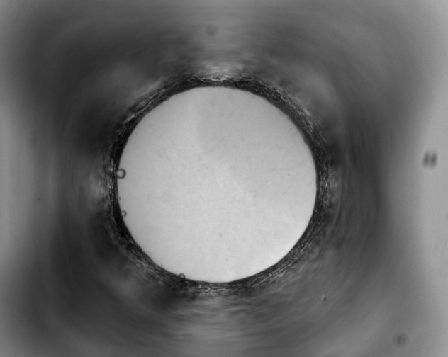 X0000103951349200810101429