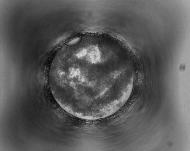 X0000103951350200810101429