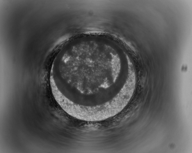 X0000103951351200810101429