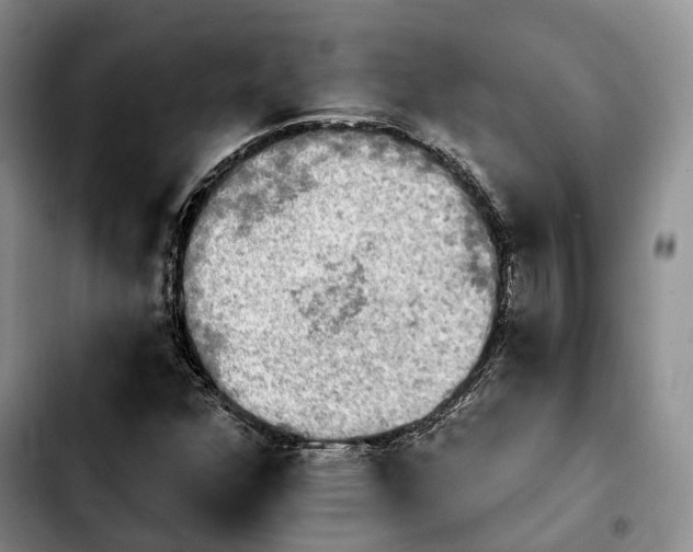 X0000103951352200810101429