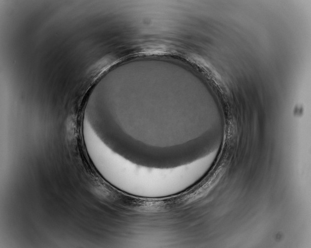 X0000103951353200810101429