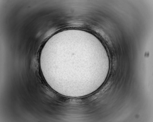 X0000103951354200810101429