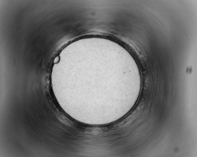 X0000103951355200810101429