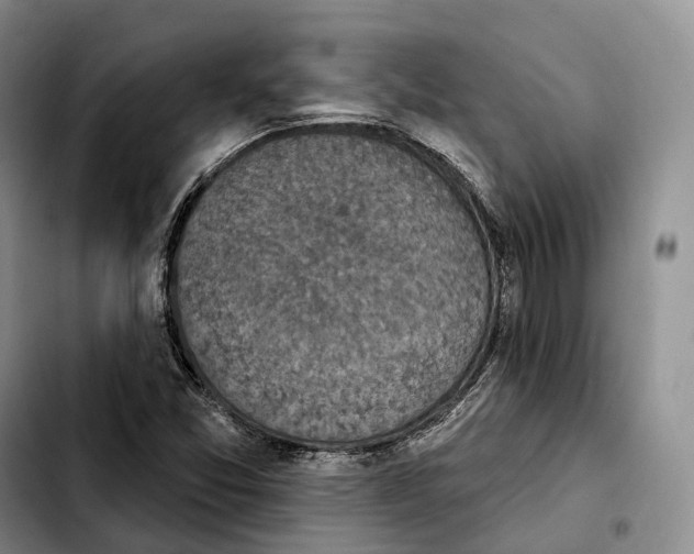 X0000103951357200810101429