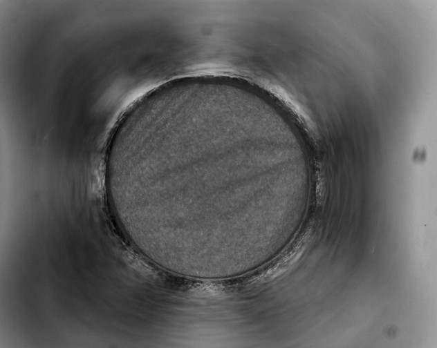 X0000103951358200810101429