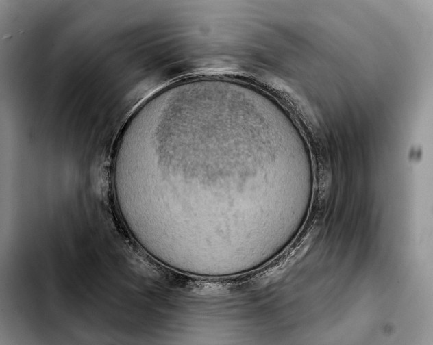 X0000103951361200810101429