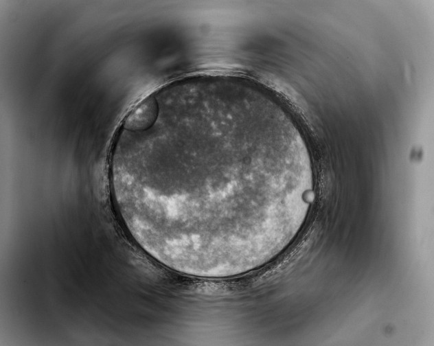 X0000103951362200810101429