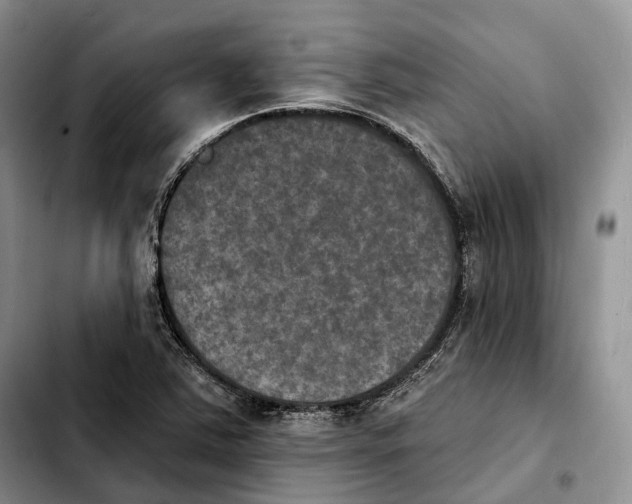 X0000103951363200810101429