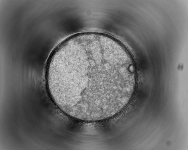 X0000103951364200810101429