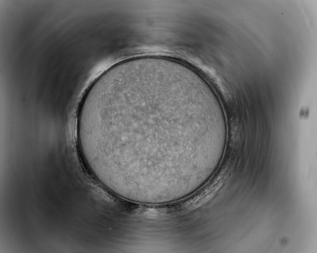 X0000103951365200810101429