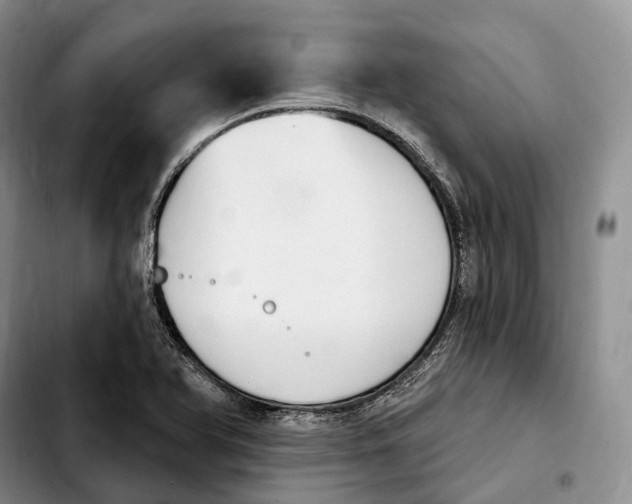 X0000103951366200810101429