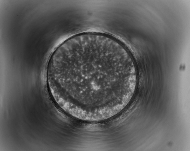 X0000103951367200810101429