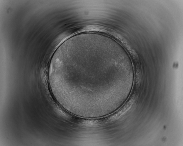 X0000103951369200810101429