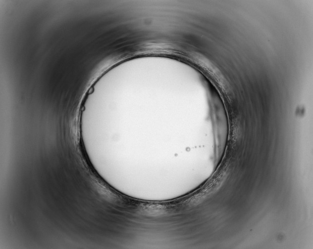 X0000103951370200810101429