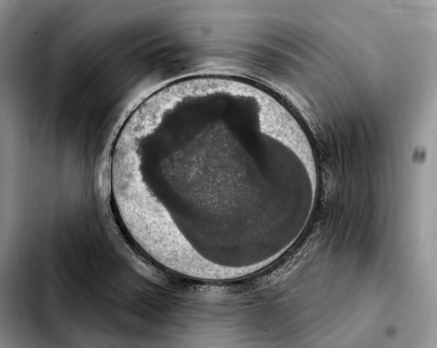 X0000103951371200810101429