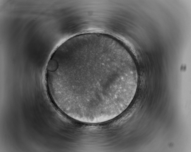 X0000103951373200810101429