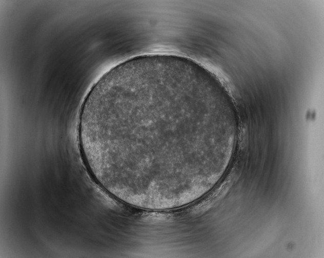 X0000103951374200810101429