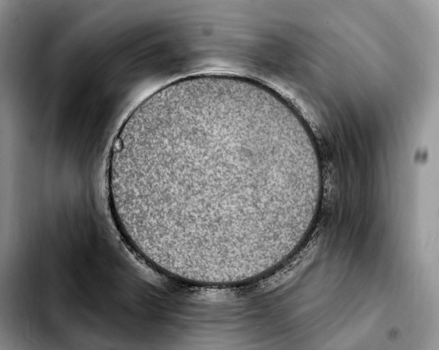 X0000103951375200810101429