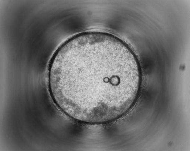 X0000103951376200810101428