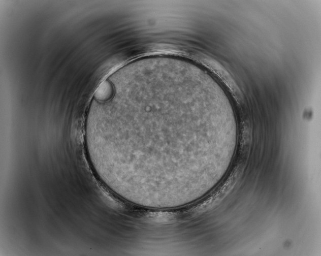 X0000103951377200810101428