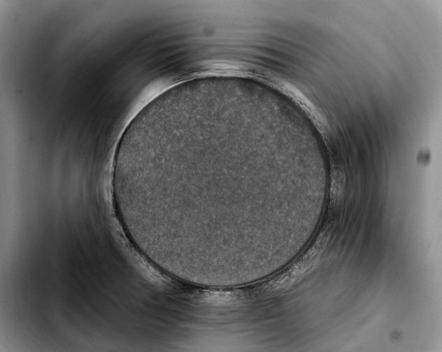 X0000103951378200810101428