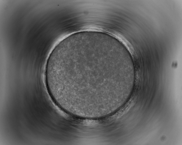 X0000103951379200810101428