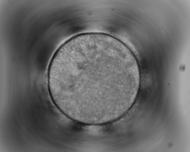 X0000103951380200810101428