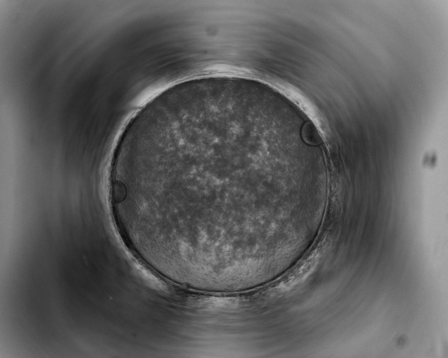 X0000103951381200810101428