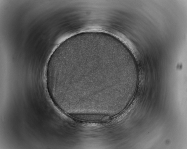 X0000103951382200810101428