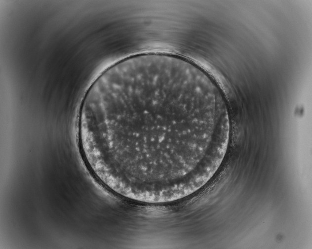 X0000103951383200810101428