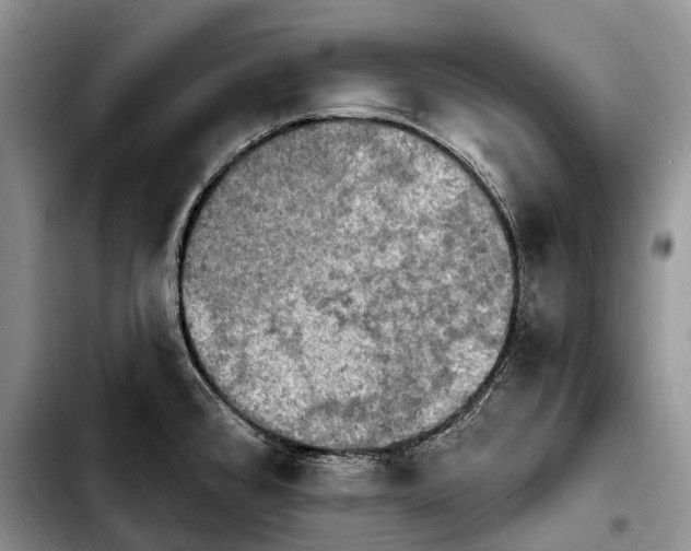 X0000103951384200810101428