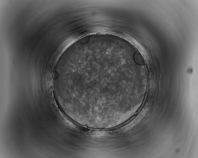 X0000103951385200810101428