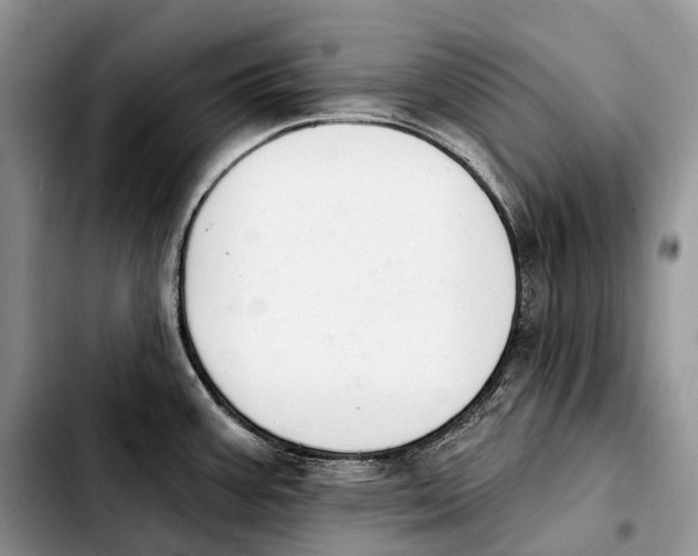 X0000103951387200810101428