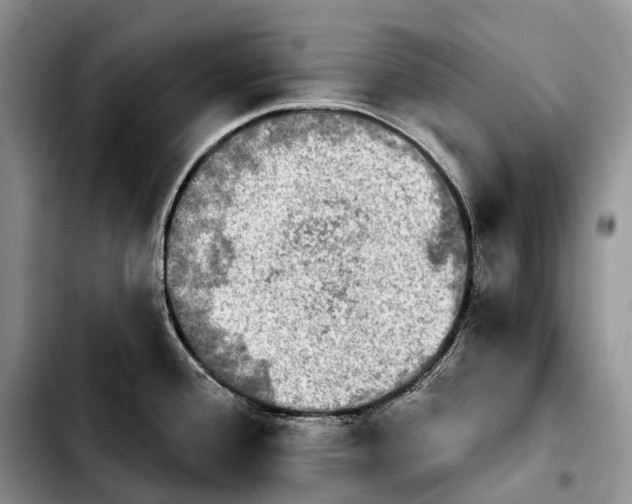 X0000103951388200810101428