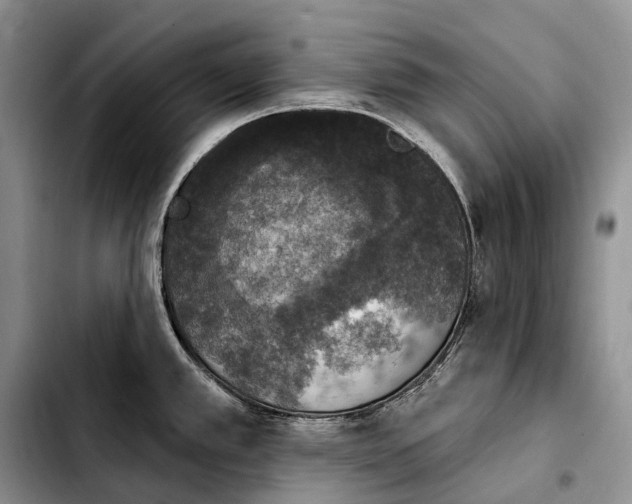 X0000103951389200810101428