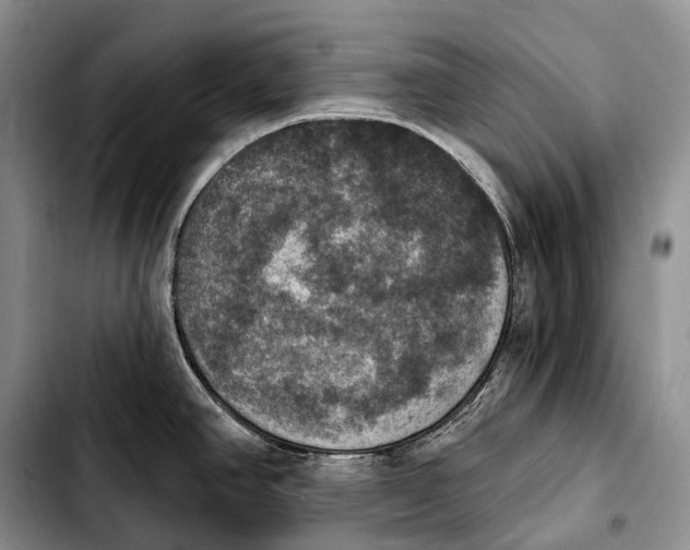 X0000103951390200810101428