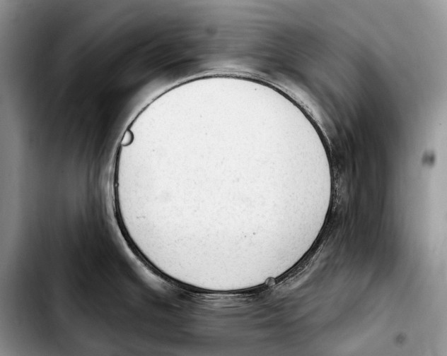 X0000103951391200810101428