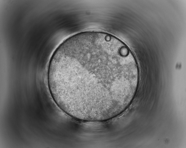 X0000103951392200810101428