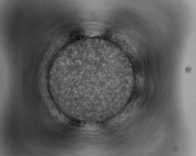 X0000103951393200810101428