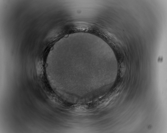 X0000103951394200810101428