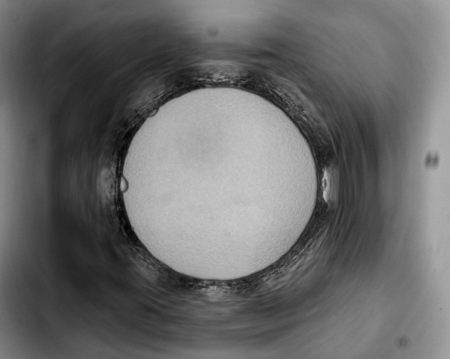 X0000103951395200810101428