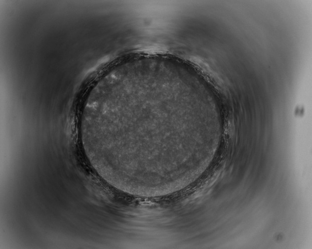 X0000103951398200810101428