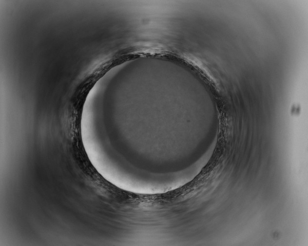 X0000103951399200810101428