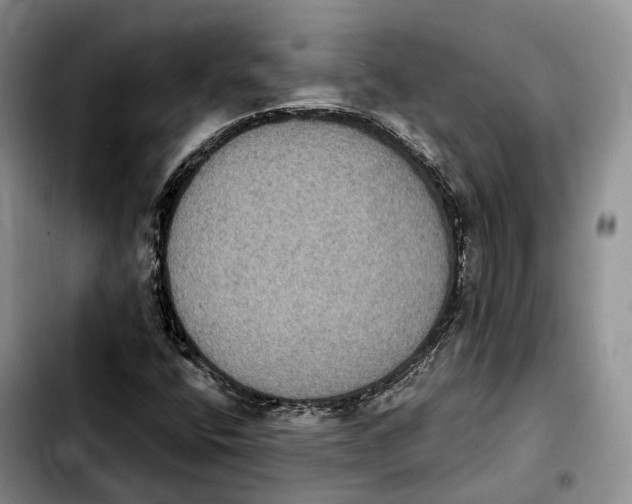 X0000103951400200810101428