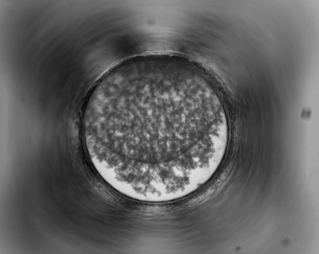 X0000103951401200810101428