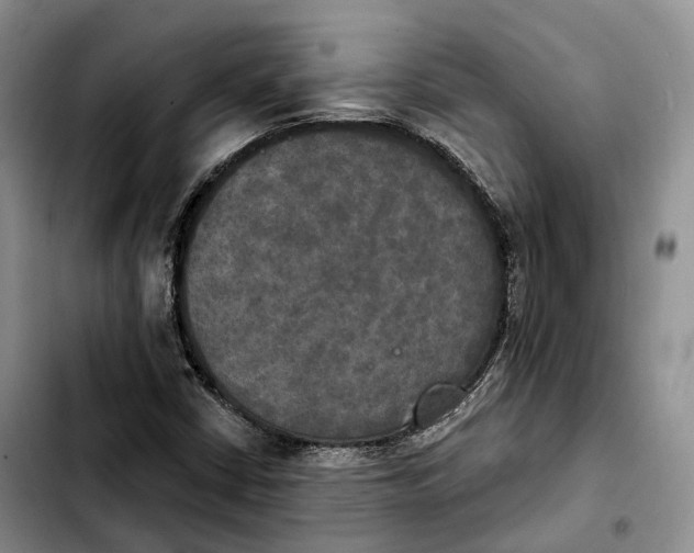 X0000103951402200810101428