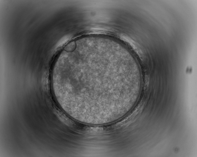 X0000103951403200810101428